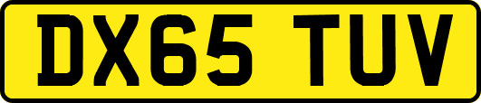 DX65TUV