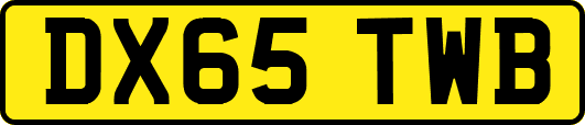 DX65TWB