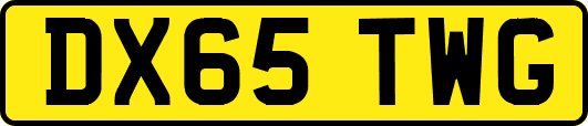 DX65TWG