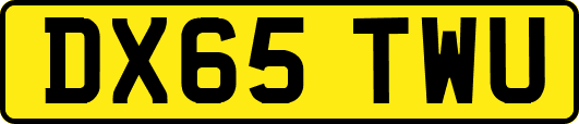 DX65TWU