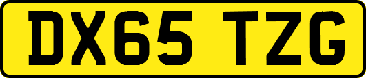 DX65TZG