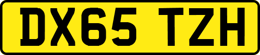 DX65TZH