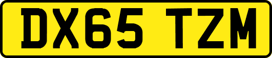DX65TZM