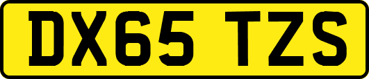 DX65TZS