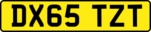 DX65TZT