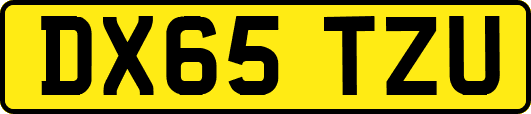 DX65TZU