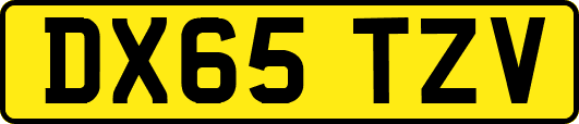 DX65TZV