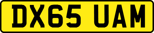 DX65UAM