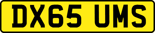 DX65UMS