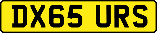 DX65URS