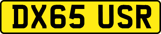 DX65USR
