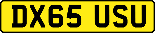 DX65USU