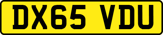 DX65VDU