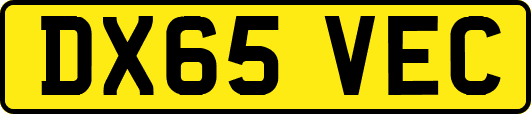 DX65VEC