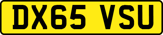 DX65VSU