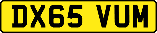 DX65VUM