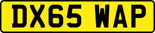DX65WAP