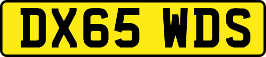 DX65WDS