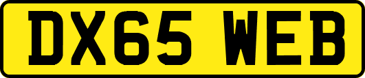 DX65WEB