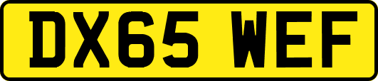 DX65WEF