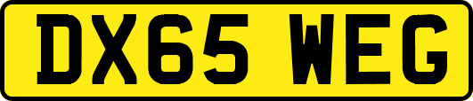 DX65WEG