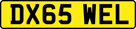 DX65WEL