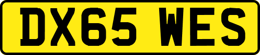 DX65WES