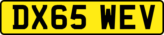 DX65WEV