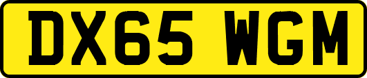 DX65WGM