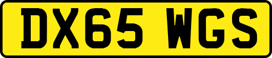 DX65WGS