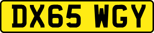 DX65WGY