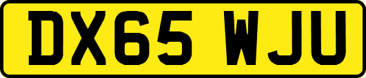 DX65WJU