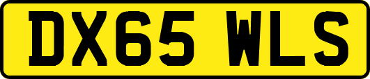 DX65WLS
