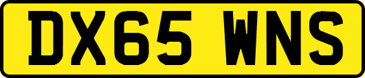 DX65WNS