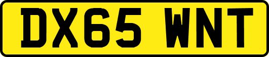 DX65WNT