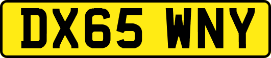 DX65WNY