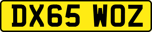 DX65WOZ