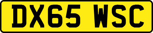 DX65WSC