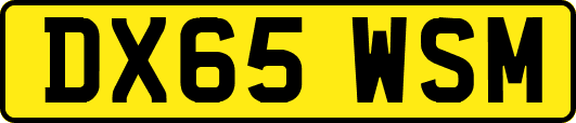 DX65WSM