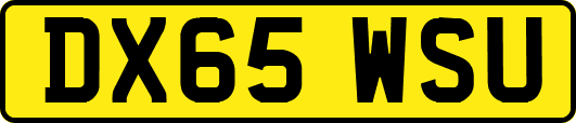 DX65WSU