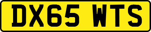 DX65WTS