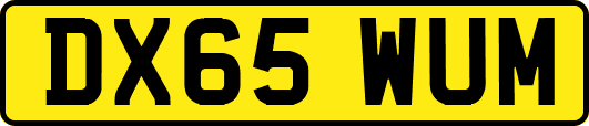 DX65WUM