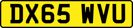 DX65WVU