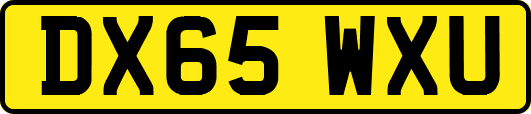 DX65WXU