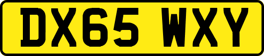DX65WXY