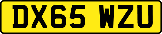 DX65WZU