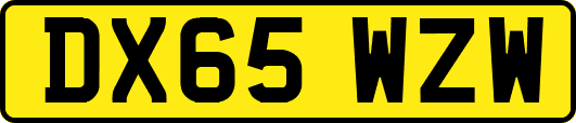 DX65WZW
