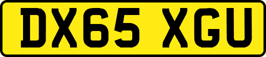 DX65XGU