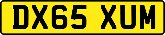 DX65XUM