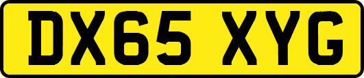 DX65XYG